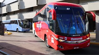 Nova Rodoviária de São José do Rio Preto  Movimentação de Ônibus [upl. by Yllim]