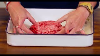 Brain Dissection Biology amp Psychology GCSE Alevel NEET Practical Skills [upl. by Nidroj931]