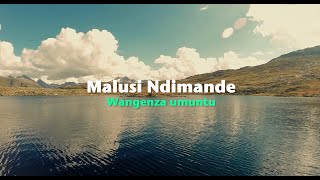 Malusi Ndimande  Wangenza umuntu Official Lyric Video [upl. by Adelaja]