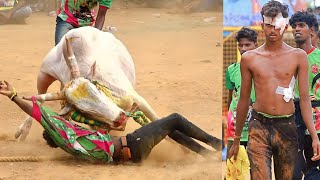 Sivaganga Vadamadu Manjuvirattu 2023 Videos  சிவகங்கை வடமாடு மஞ்சுவிரட்டு 2023 Videos [upl. by Godrich]