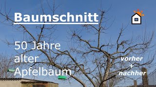 Baumschnitt Apfelbaum 50 Jahre  vorher amp nachher [upl. by Mroz515]