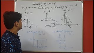 Price elasticity of demand chapter 6 microeconomics Part 2 Theory portion [upl. by Lebama]