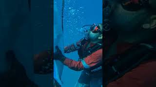 using lifting bags scubadiving fishcage speargunfishingocean underwater غواصی [upl. by Anirdnajela161]