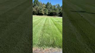 Lawn striping with Hustler 36” lawnmaintenance hustlermower lawnstripes [upl. by Eanyl]