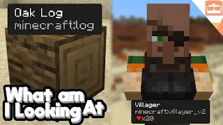 WAILA MOD is on Minecraft Bedrock What Am I Looking At [upl. by Daniyal]