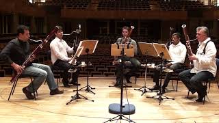 BASSOON SOLO ON quotDONNA LEEquot  Alexandre Silvério amp Camaleon Bassoons [upl. by Wendel]