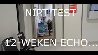 Gaan we het geslacht al weten 12 weken echo  NIPT test  Vlog 9 [upl. by Reckford]