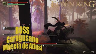 ELDEN RING  Localización Boss Caragusano Meseta de Atlus  PS5 [upl. by Arte]