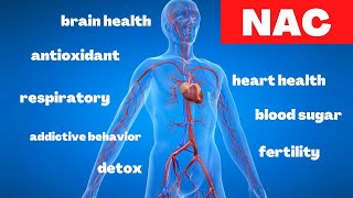 Top 8 Benefits of NAC NAcetyl Cysteine [upl. by Ezana24]