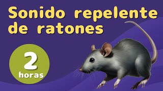 Ruidos Repelentes para Ratones y Ratas Sonidos de alta frecuencia No compatible con iPhone [upl. by Karyl]