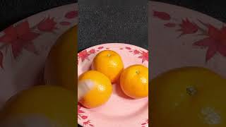 Growing orange trees from seed at home  Orange seed germination methods shortsyoutubeshorts [upl. by Coray]