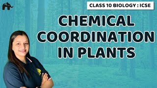 Chemical Coordination in Plants  Chapter 7 Class 10 ICSE Biology  Selina [upl. by Casady79]