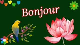 BONJOUR  Bonne Journée  🍀🌺🦜 [upl. by Fazeli]