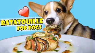 CORGI Tries Homemade Ratatouille Will He Like It  Life After College Ep 661 [upl. by Cilo]