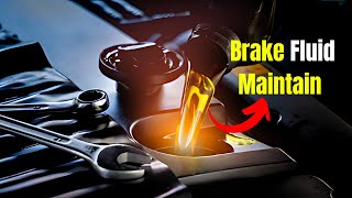 How to Check and Maintain Brake Fluid [upl. by Yeldahc326]