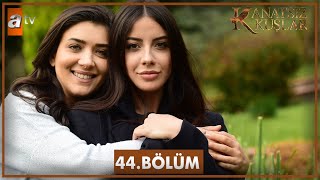 Kanatsız Kuşlar 44 Bölüm [upl. by Anirak724]