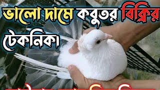 কবুতর বিক্রি করার টেকনিক  ভালো দামে কবুতর বিক্রি করুন  কবুতর বিক্রিরকৌশলকবুতর বিক্রি [upl. by Garnett]