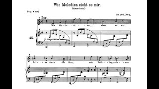 Wie Melodien J Brahms  C Major Piano Accompaniment  Karaoke [upl. by Yesrej]