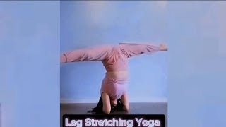 Leg Stretching Yoga  yoga exercise workout homeworkout 👸 [upl. by Ybsorc132]