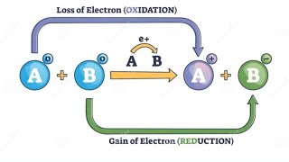 REDOX REACTIONSPart2 REDUCING amp OXIDIZING AGENTS GRADE 11 [upl. by Ailev]