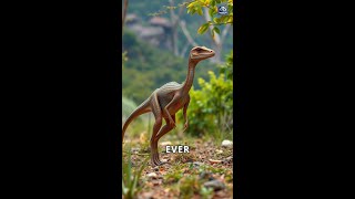 Discovering Coelophysis The Agile Dinosaur [upl. by Nema]