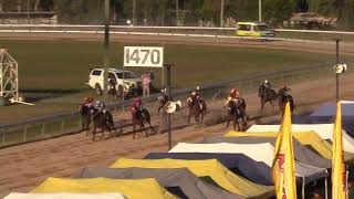 Gympie 20240720 Race 5 [upl. by Lledo625]