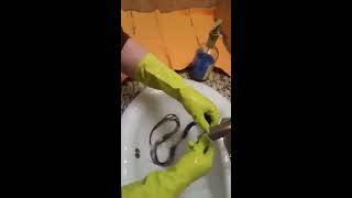 How to Wash Horse Hair for Horse Hair Jewelry [upl. by Anad]