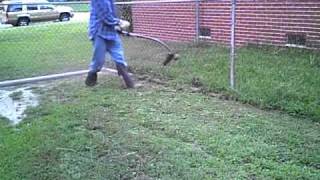 Craftsman 27cc weedeater in Action [upl. by Johen]