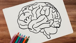 💛HOW TO DRAW A HUMAN BRAIN [upl. by Nirual]