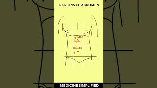 Regions of Abdomen  9 Regions of Abdomen  Abdominal Anatomic Regions [upl. by Enehs]