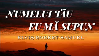 NUMELUI TAU EU MA SUPUN  Elvis Robert si Samuel din Barbulesti [upl. by Ahsoek]