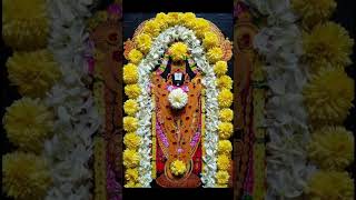 Srinivasa Govinda🙏❤️venkataramana✨devotional tirupati ytshorts [upl. by Monica597]