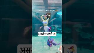 Real Jalpari  असली जलपरी🧜‍♀️  Jalpari video raigarh [upl. by Silenay831]