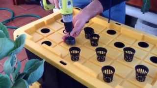 Hydroponics Using Compost Tea experiment [upl. by Harlow]