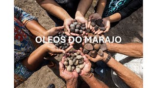 História de Quem Atende 2024  Óleos do Marajó [upl. by Jedlicka]