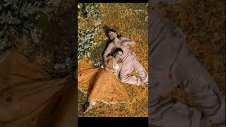 Haldi ceremony  most popular television actress surbhi jyoti  Indian wedding traditional wedding [upl. by Ahcire]