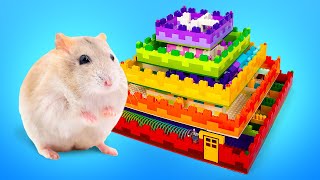 5Level Hamster Maze from Slick Slime Sam [upl. by Glassman]