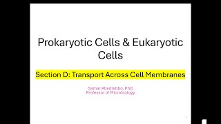 Cells Section D Transport across cell membranes [upl. by Ecnarrat]