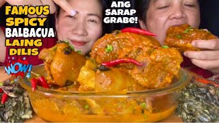 FAMOUS BALBACUA MUKBANG LAING  DILIS  PINOY MUBANG MUKBANG PHILIPPINES Collab biocofoodtrip3362 [upl. by Ringe]