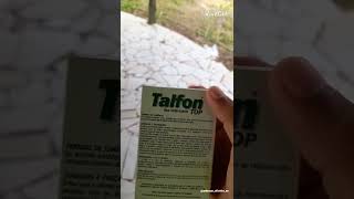 Como usar o Talfon Top para pulgas e carrapatos  Fácil e Prático [upl. by Egoreg159]