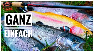 “Forellensee GEKNACKT 🎣 LIVE Bisse und Mega Action  So fängst DU die großen Fische” [upl. by Treblih]