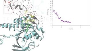 RAD51BRCA2 MDBinding [upl. by Nylesor799]