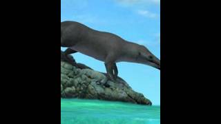 Whale Walked in desert in Rajasthanshortvideos shorts interestingfacts [upl. by Val]