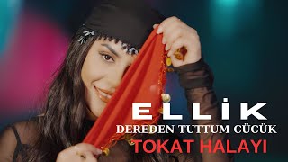 Aylin Demir  Ellik  Dereden Tuttum Cücük Tokat Halayı [upl. by Ahsirt]