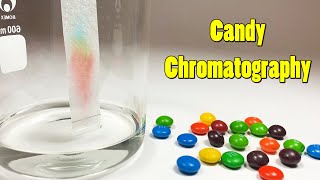 Candy Chromatography What Colors Are in Your Candy  Science Project [upl. by Greer]