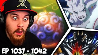 One Piece Episode 1037 1038 1039 1040 1041 1042 Reaction  LUFFY HAS A SPECIAL DEVIL FRUIT [upl. by Abby]