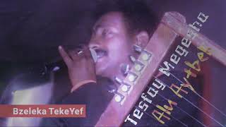 quotAlu Aytbeliquot Tesfay Mengesha Part 3 Eritrea Love music 2018 [upl. by Arnoldo]