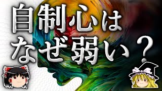 なぜ私達は目の前の欲求に負けてしまうのか？【ゆっくり解説】 [upl. by Lleirbag447]