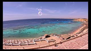 Jaz Fanara Egypt Sharm el Sheikh Holiday Beautiful Reef Fun Hadaba [upl. by Shippee962]