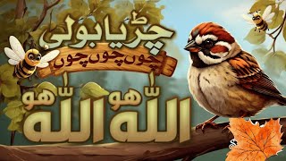 Chirya Boli Choo Choo ALLAH HO ALLAH HO Urdu Poems for Kids  Urdu Rhymes for Kids [upl. by Borries]